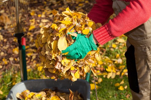 Step-by-step garden clearance process